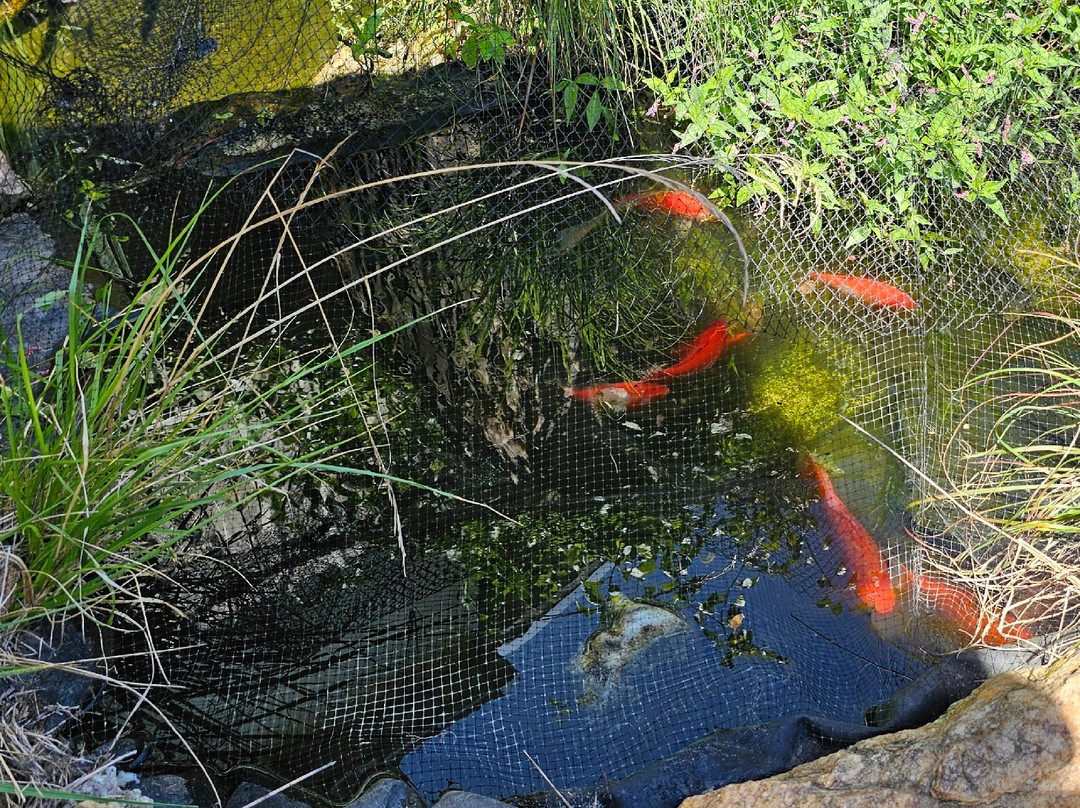 Beaumont Pottery-Phoenix必去景点