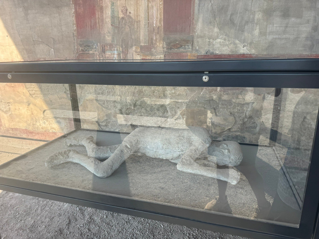 Lucia Pompeii Guide Tours-索伦托必去景点
