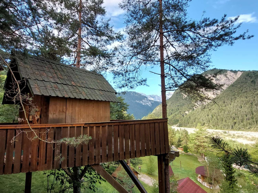 Tree Village-Claut必去景点