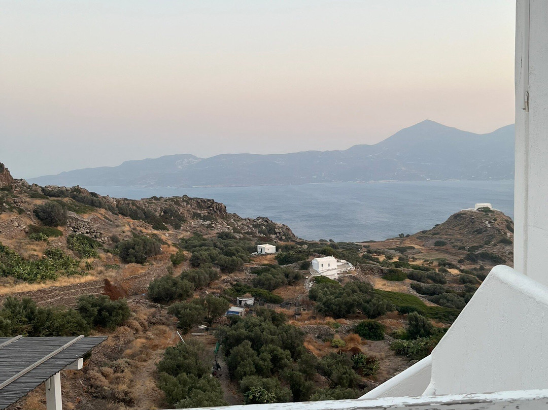 Halara Studios主图