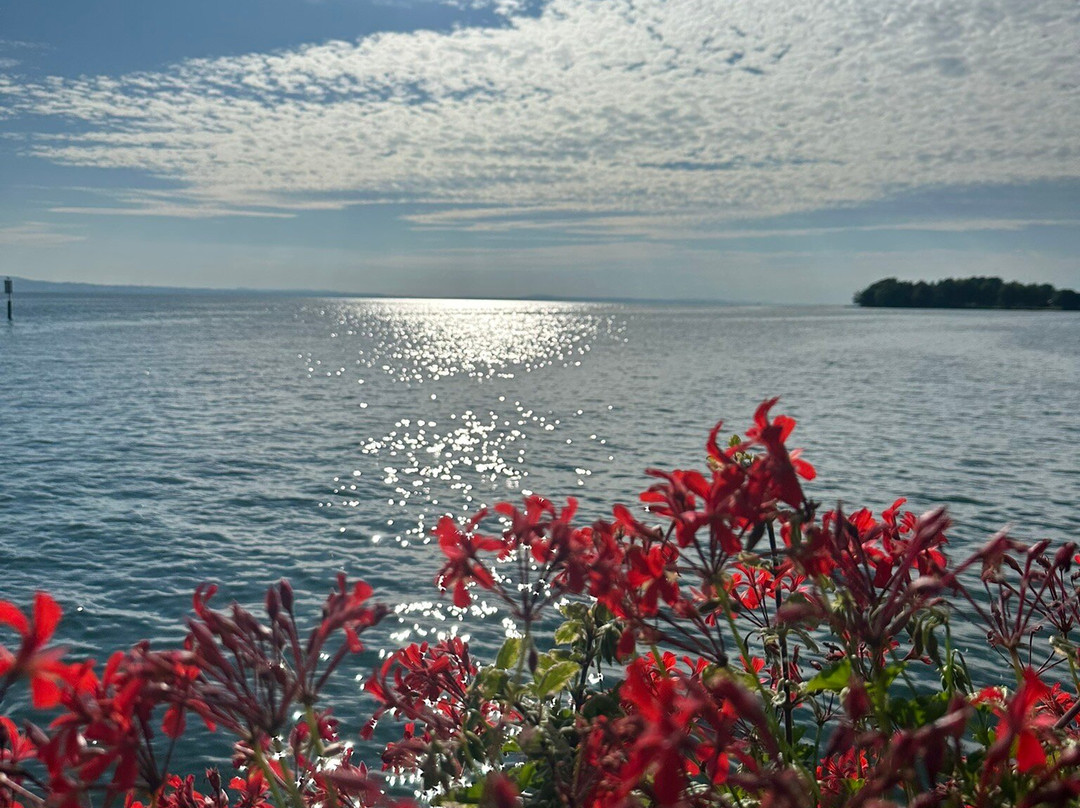 Hotel Caraleon主图