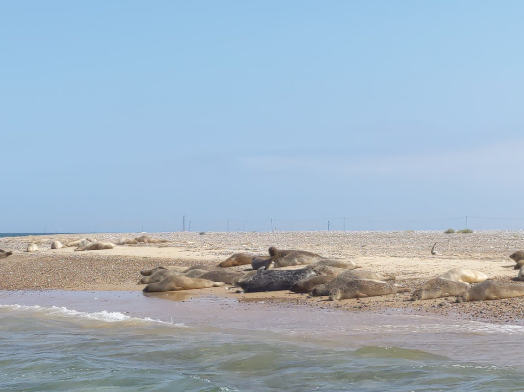 Beans Boat Trips-Morston必去景点