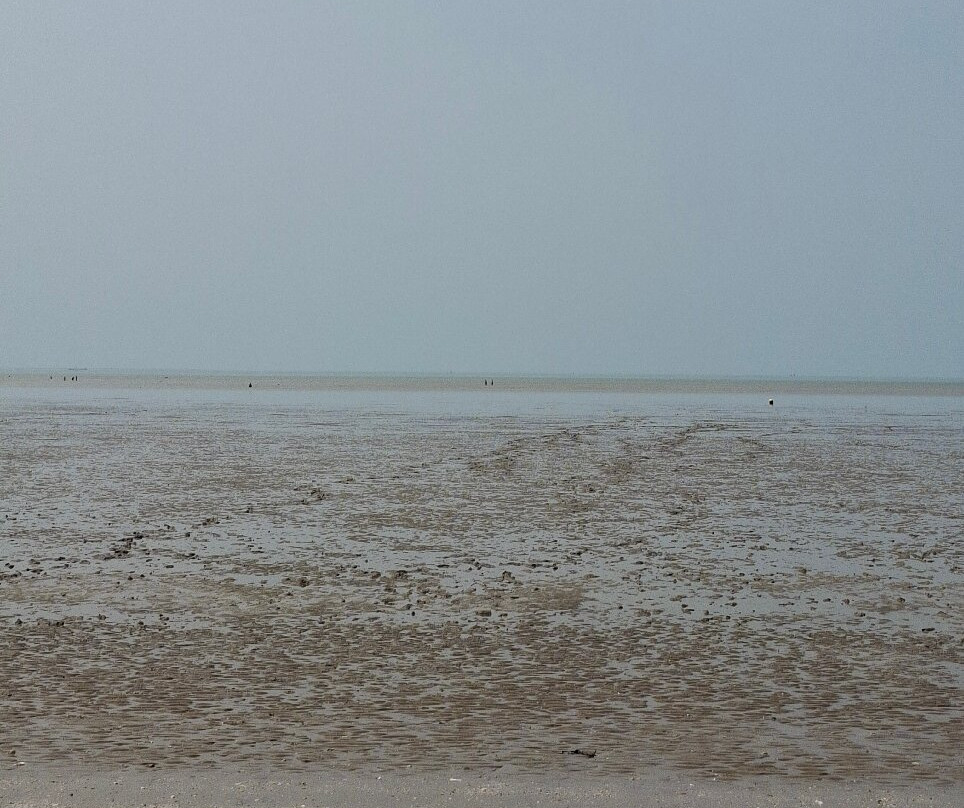 Plage de Châtelaillon-Chatelaillon-Plage必去景点