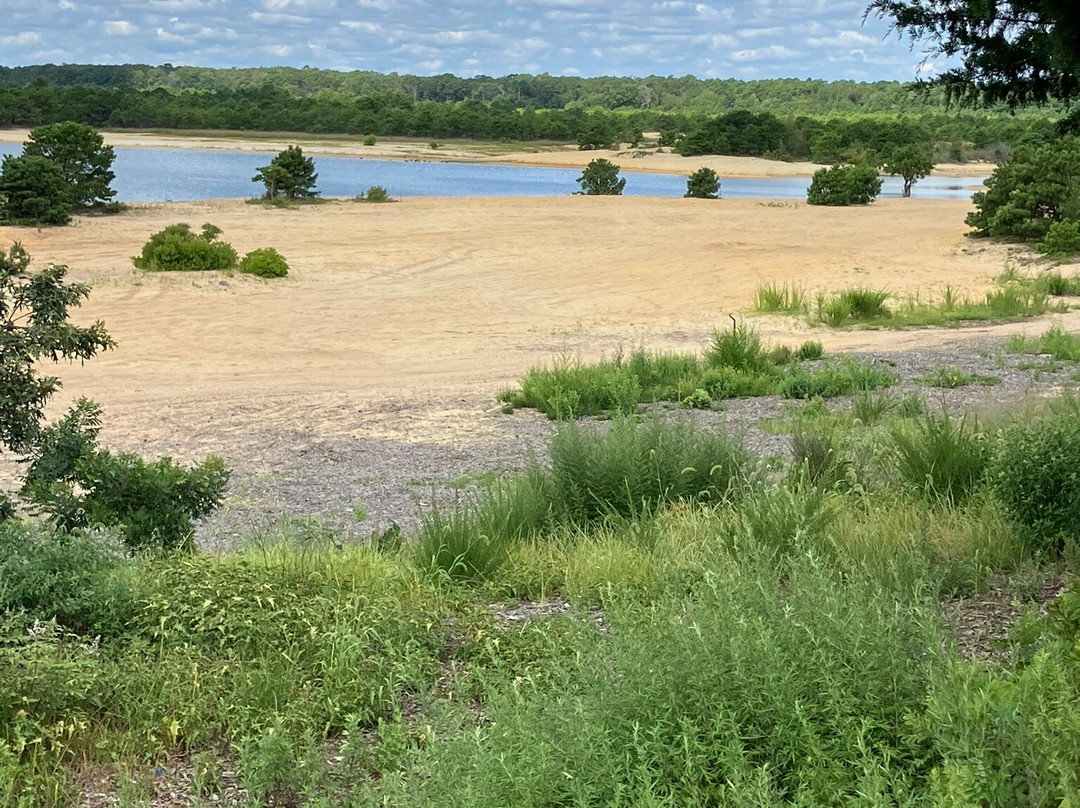 Barnegat Branch Trail-Lacey Township必去景点