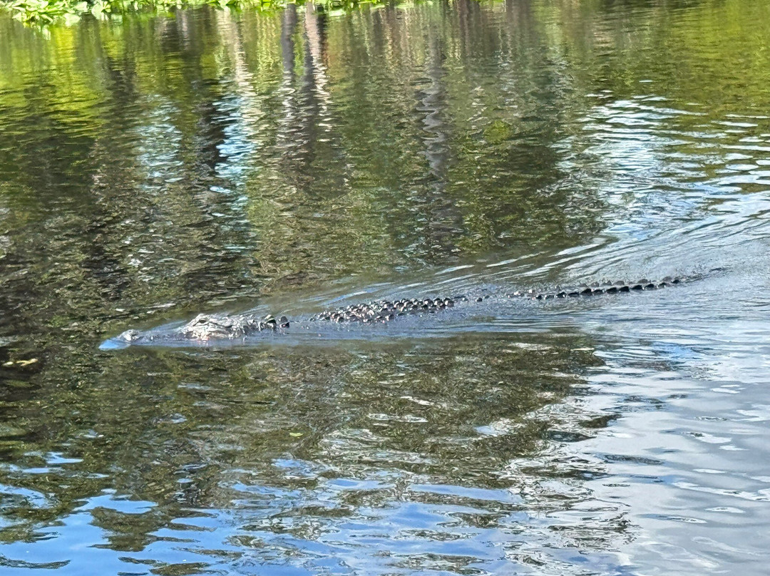 St. John's River Eco Tours, LLC-DeBary必去景点