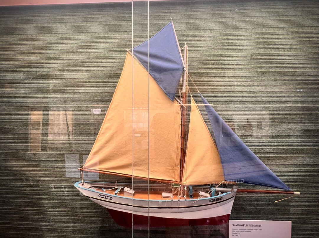Musee de la Peche-孔卡尔诺必去景点