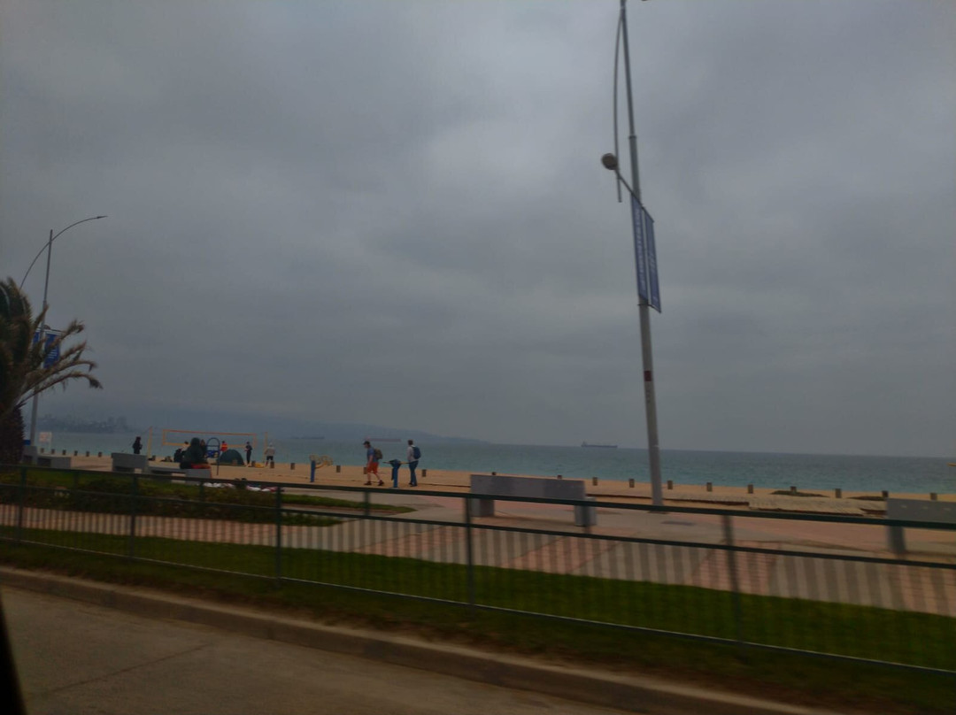 Playa Renaca-比尼亚德尔马必去景点