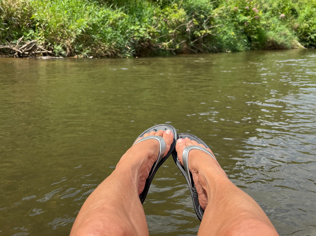 Wahoo's Adventures-Todd必去景点