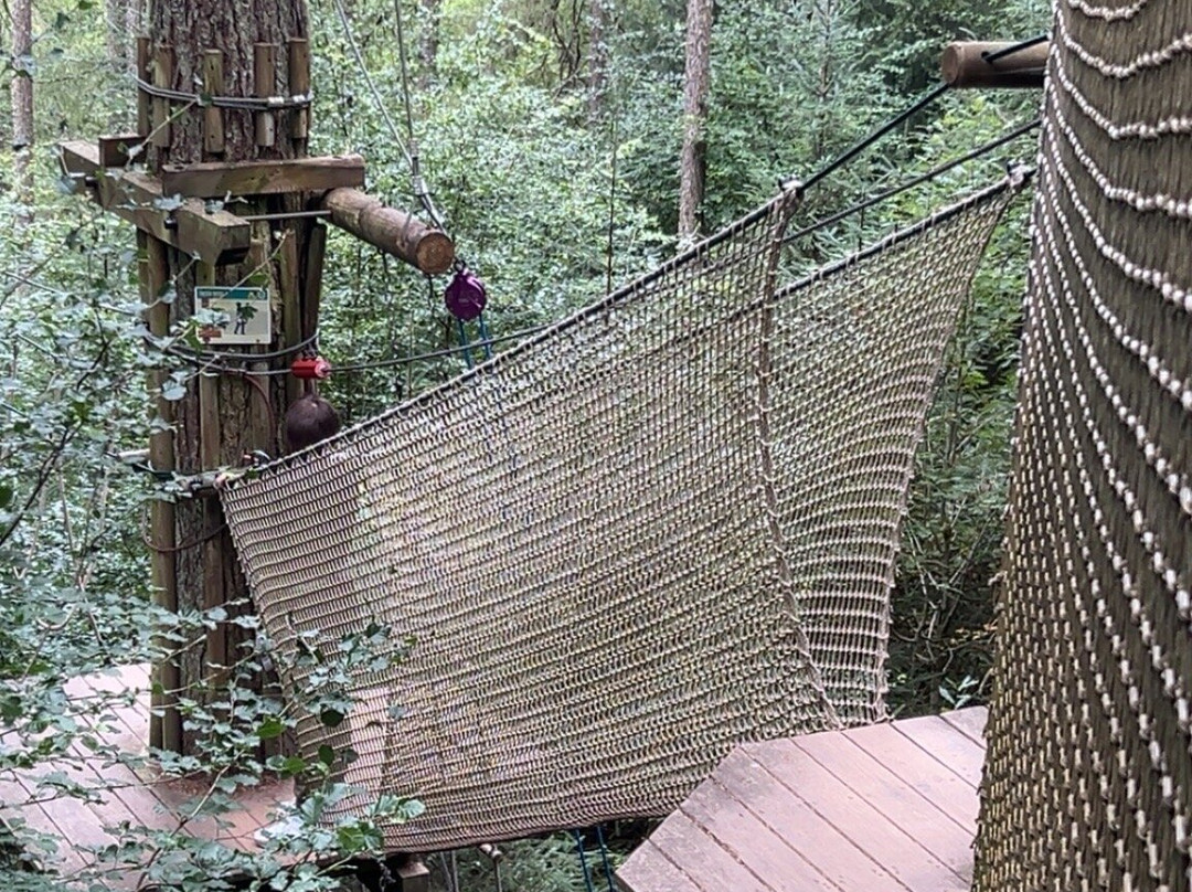 Go Ape-Aberfoyle必去景点