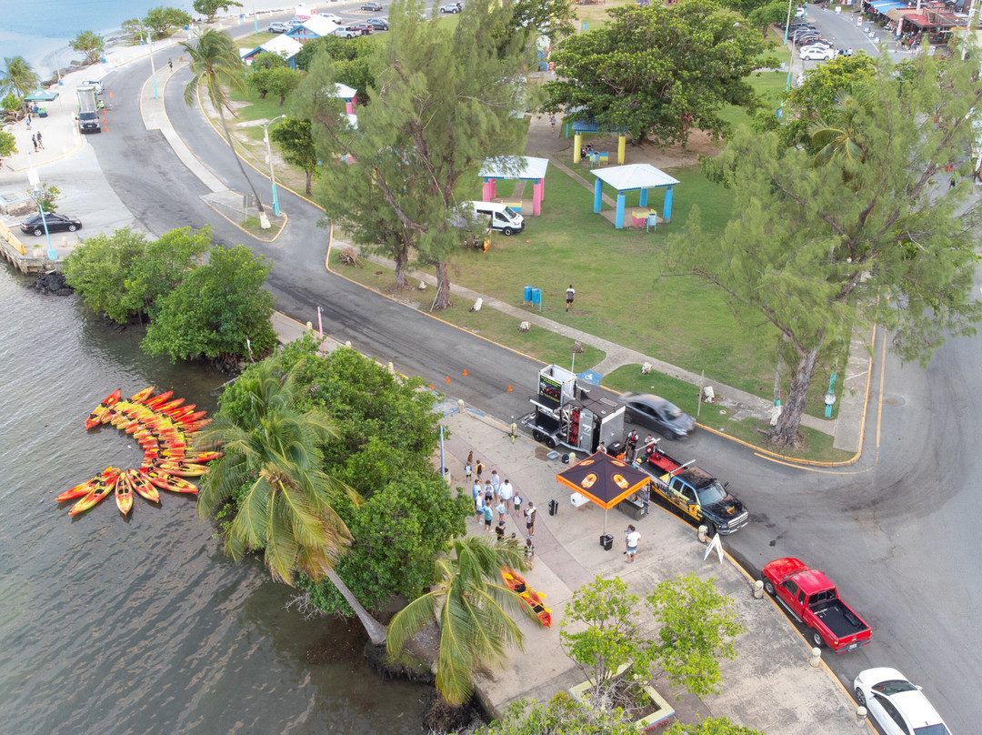Puerto Rico Bio Bay Tours LLC-法哈多必去景点