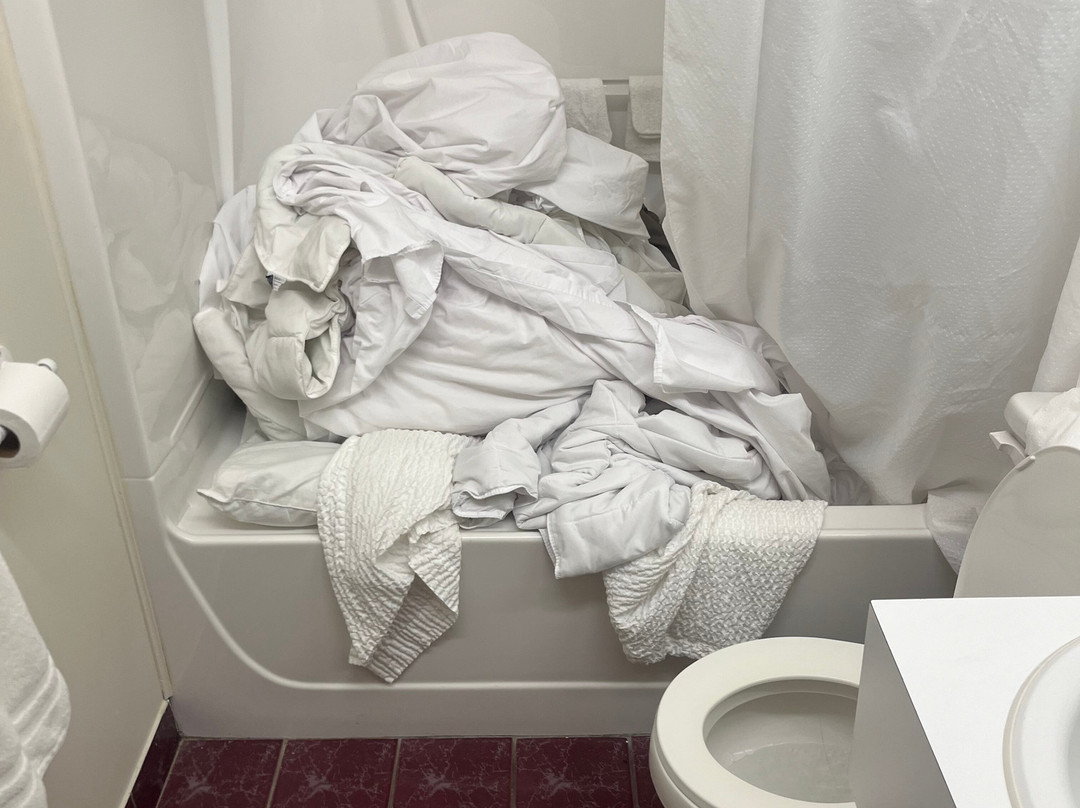 Hotel Le Principal主图