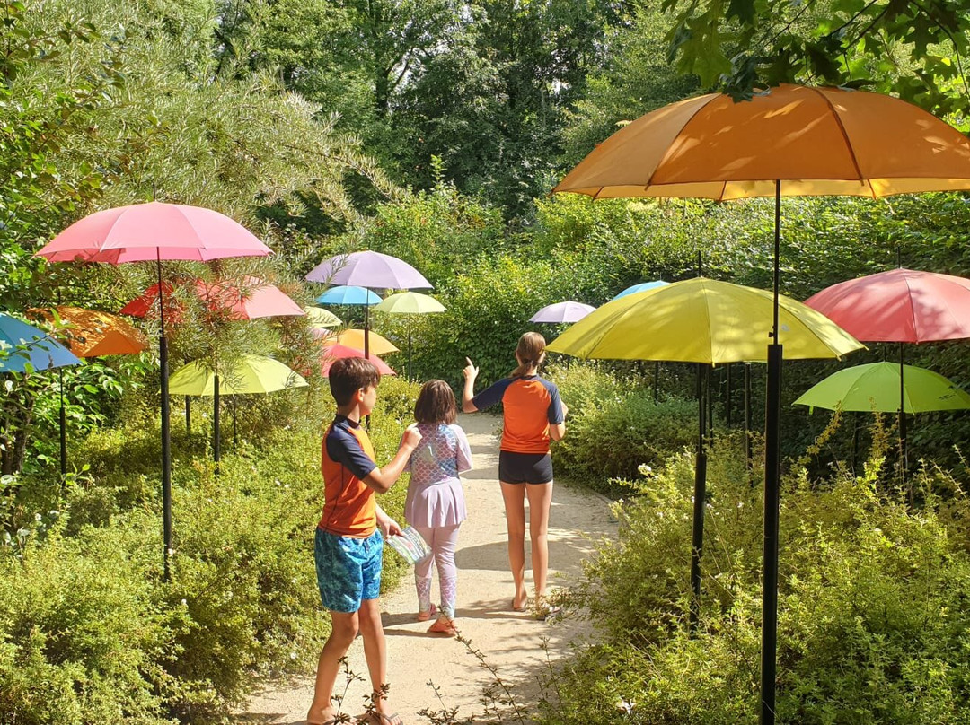 Lac de Bambois-Fosses-la-Ville必去景点