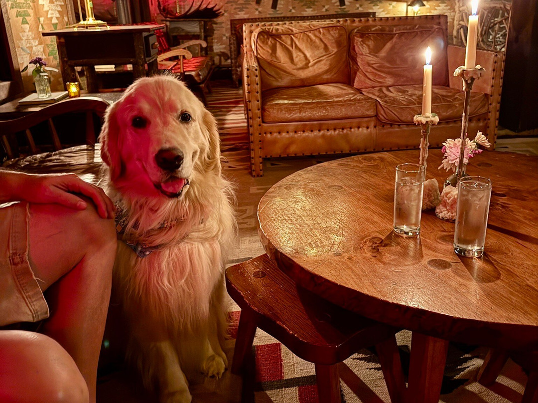 Urban Cowboy Lodge主图