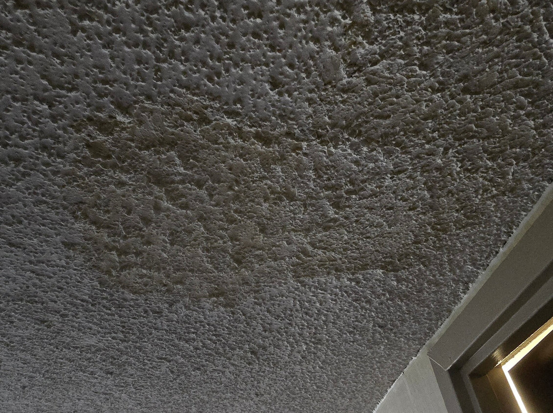 Wingate by Wyndham Springfield主图