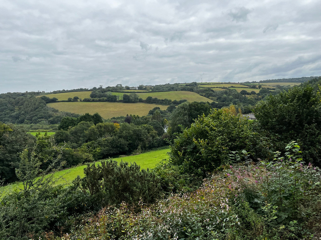 Bodmin & Wenford Railway-博德明必去景点