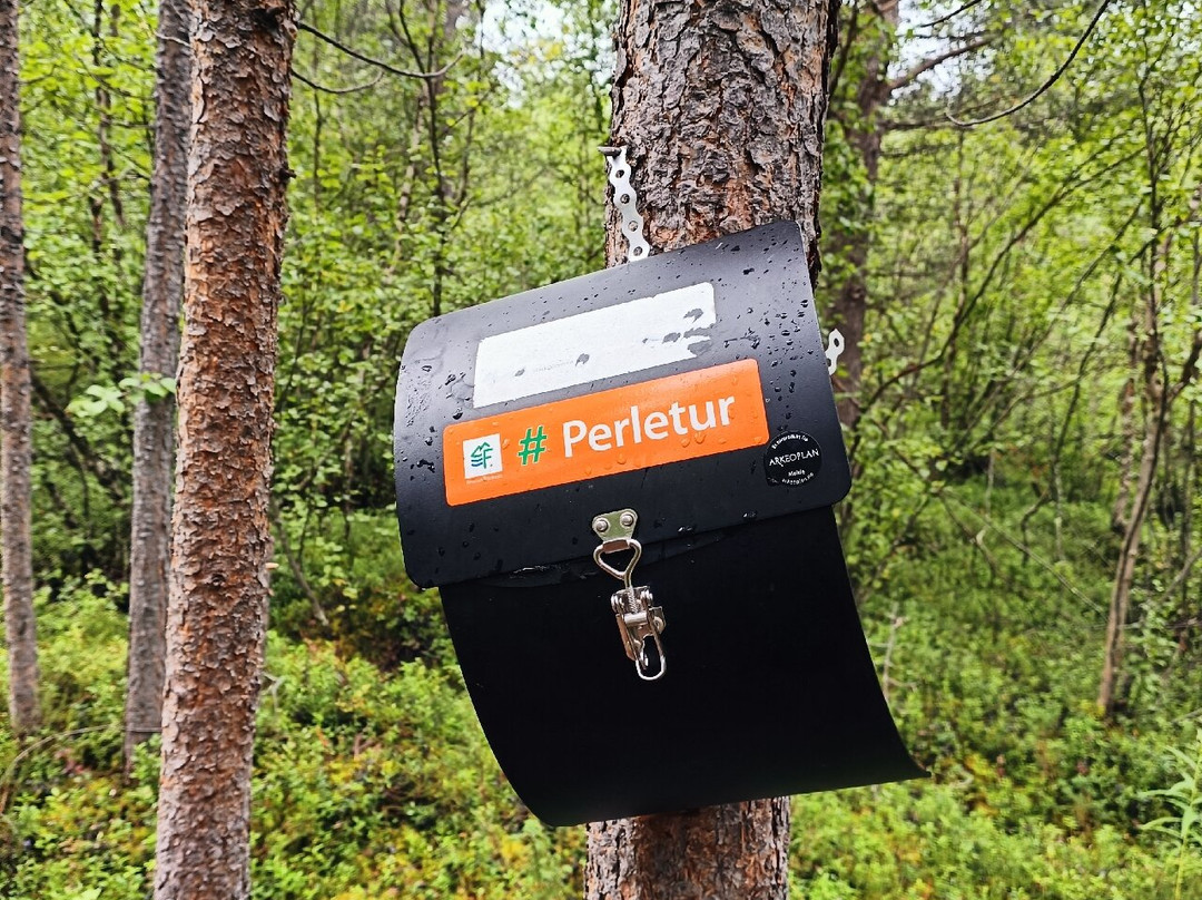 Lazarettmoen German Field Hospital Remains-Skoganvarre必去景点