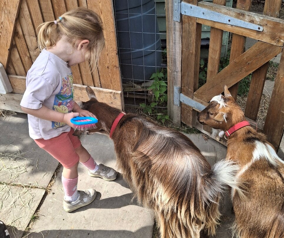 Fisherwood farm-Robertsbridge必去景点