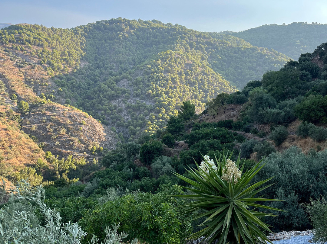 Finca Floretta主图