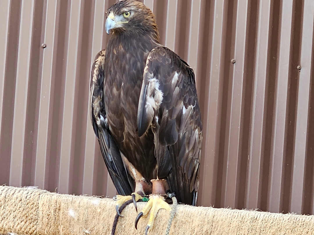 Outdoor Discovery Center-荷兰村必去景点