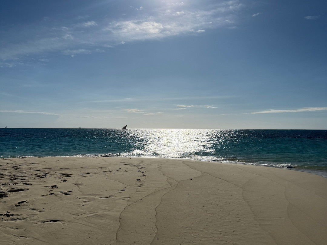 Suley Taxi Driver Zanzibar and Tours-孥归必去景点