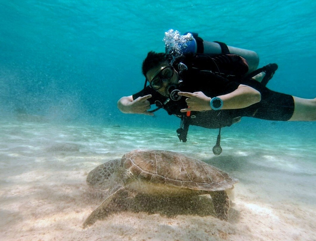 Reef Divers Bonaire-Belnem必去景点