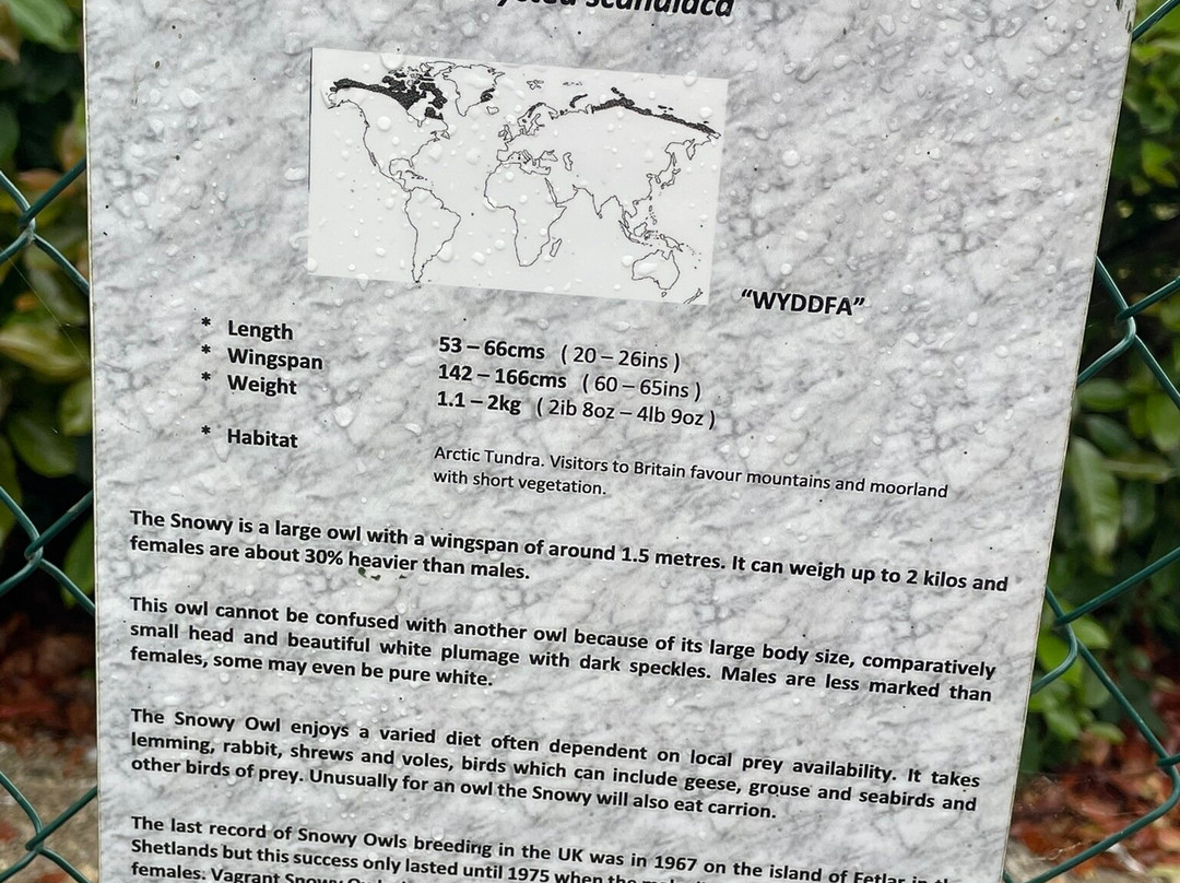 The Owls Trust-兰迪德诺必去景点