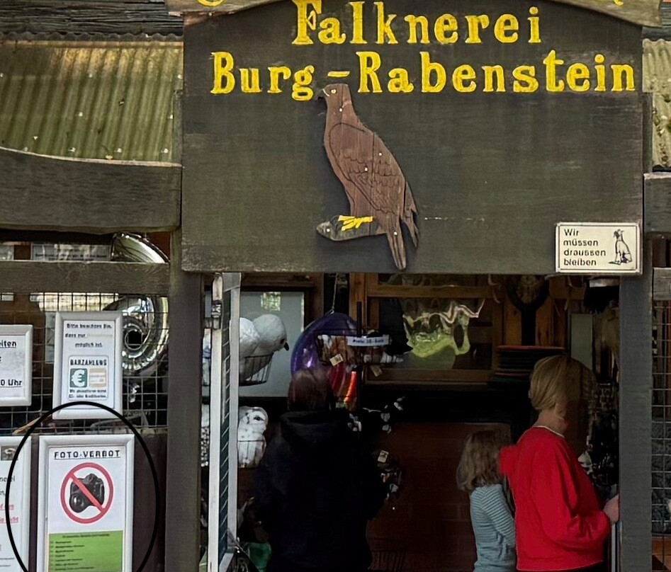 Falknerei Burg Rabenstein-Ahorntal必去景点