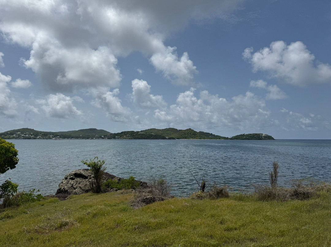 Antigua Equestrian Centre-Saint Paul Parish必去景点