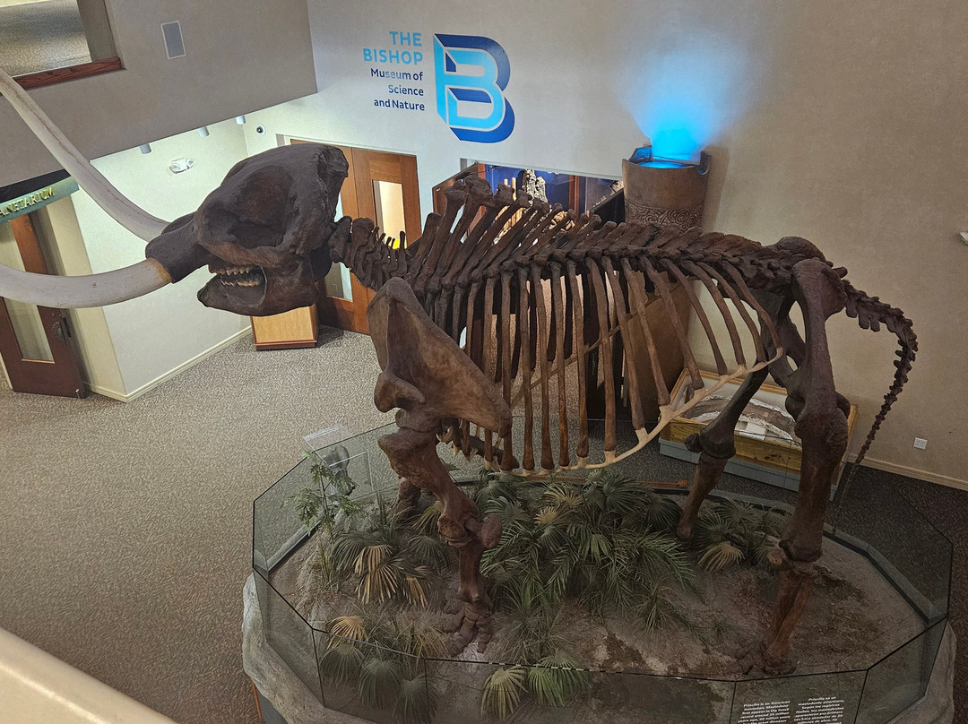 The Bishop Museum Of Science And Nature-布雷登顿必去景点