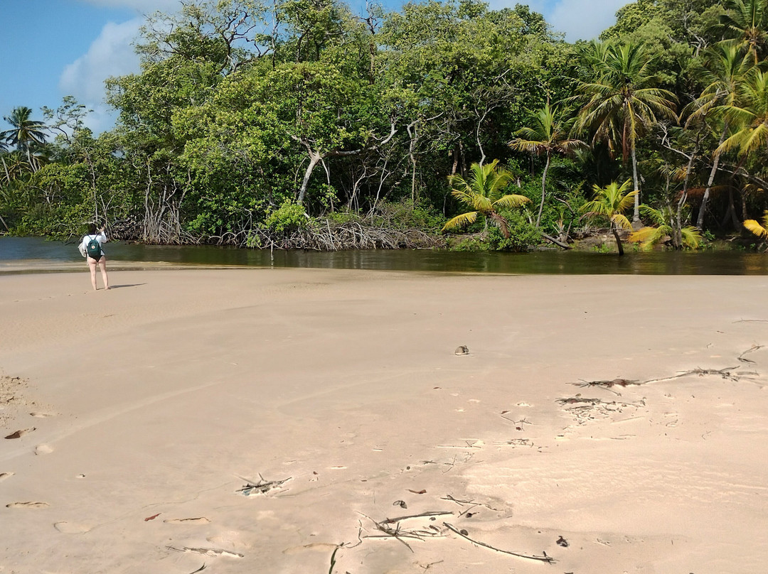 Sao Jeronimo Farm-Soure必去景点