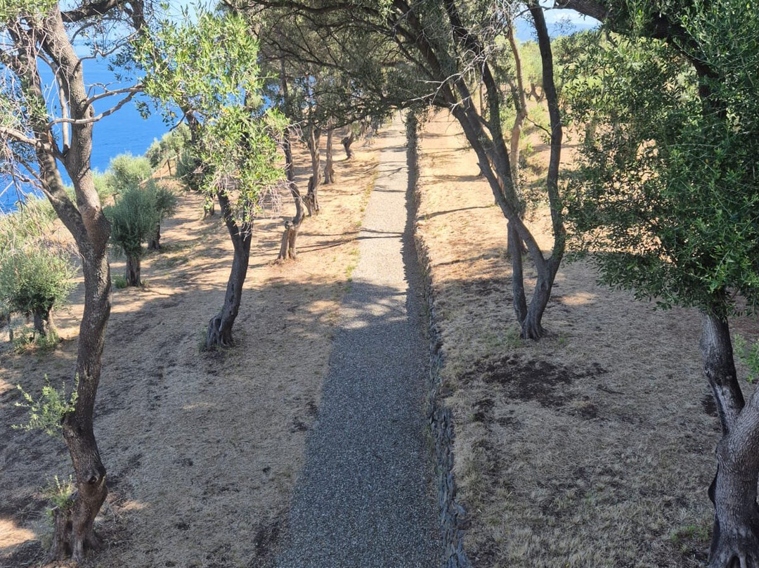 Guardiola di Villa Leonida Repaci-Palmi必去景点