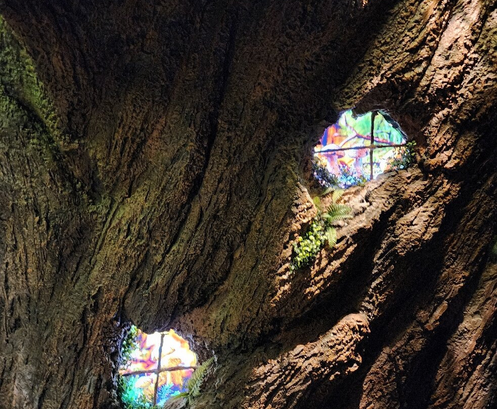 Professor Spindlewink's World Of Wizardry-塞勒姆必去景点