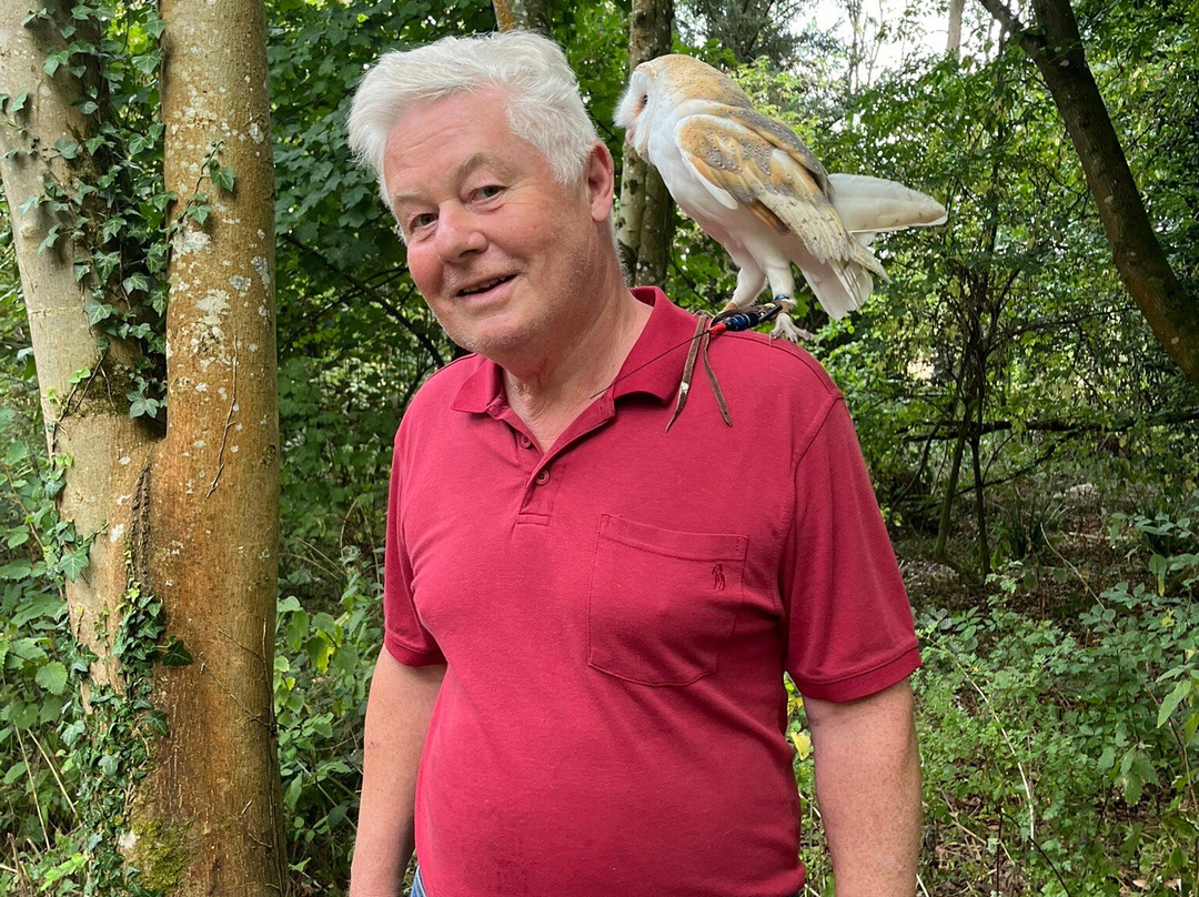 Hampshire Hawk Walks-Alton必去景点