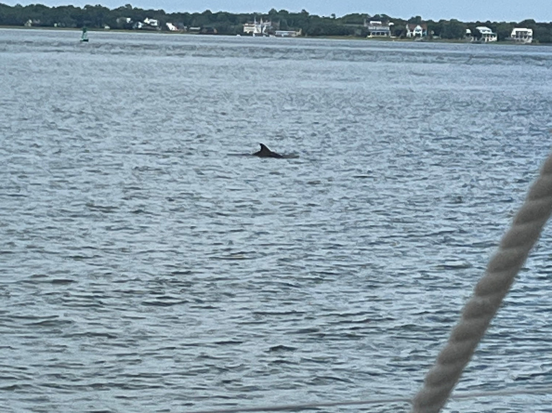 Charleston Harbor Tours-查尔斯顿必去景点