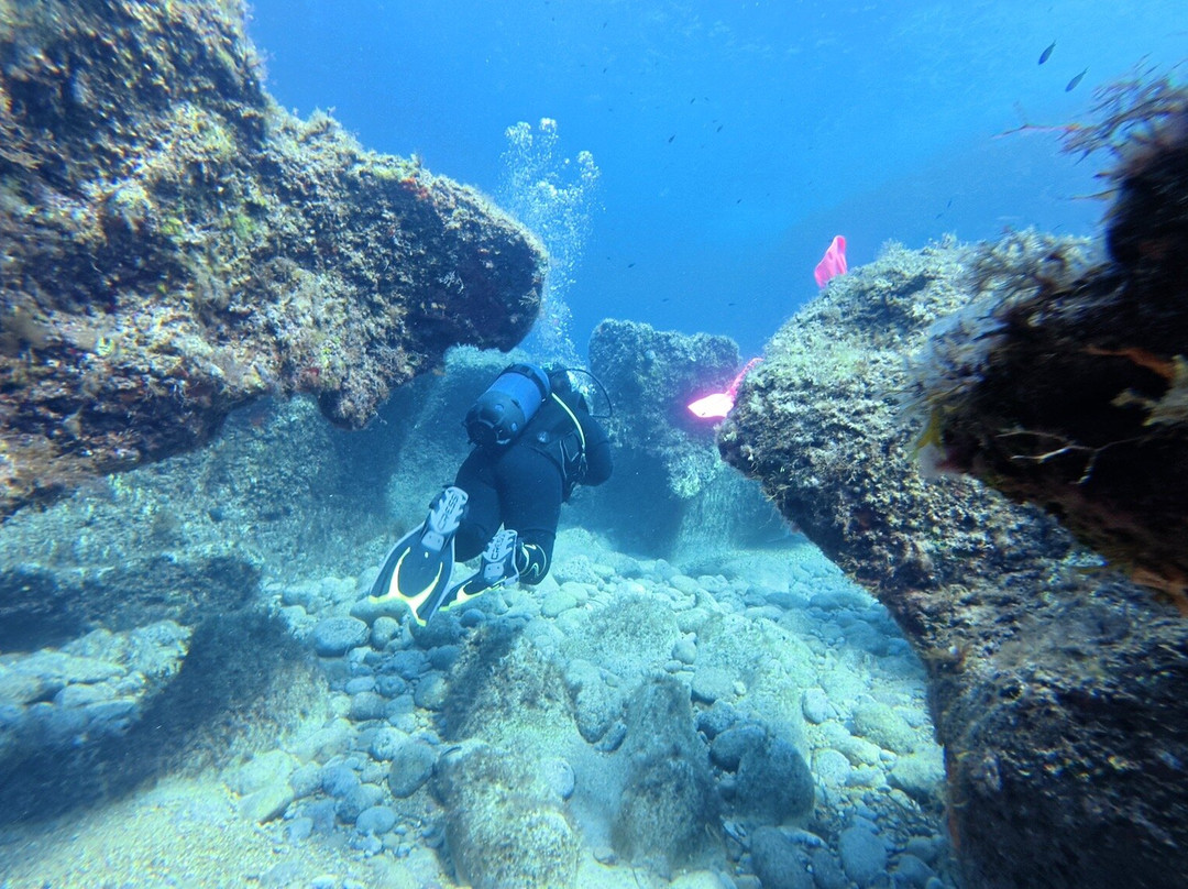Utina Diving-Xlendi必去景点