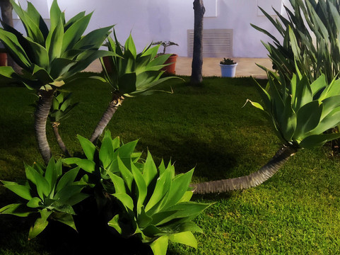 Hotel Residence Il Gattopardo主图