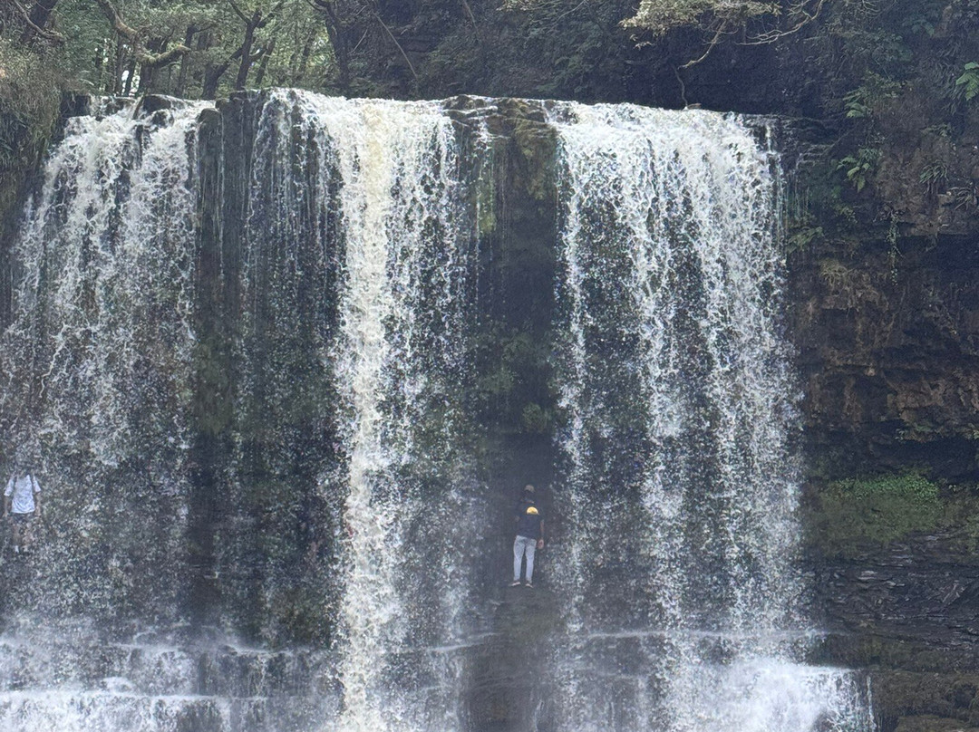 The New Swan Hotel主图