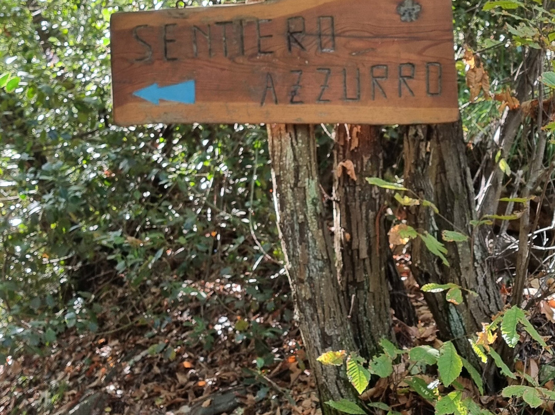 Sentiero Azzurro Mergozzo - Montorfano-Mergozzo必去景点