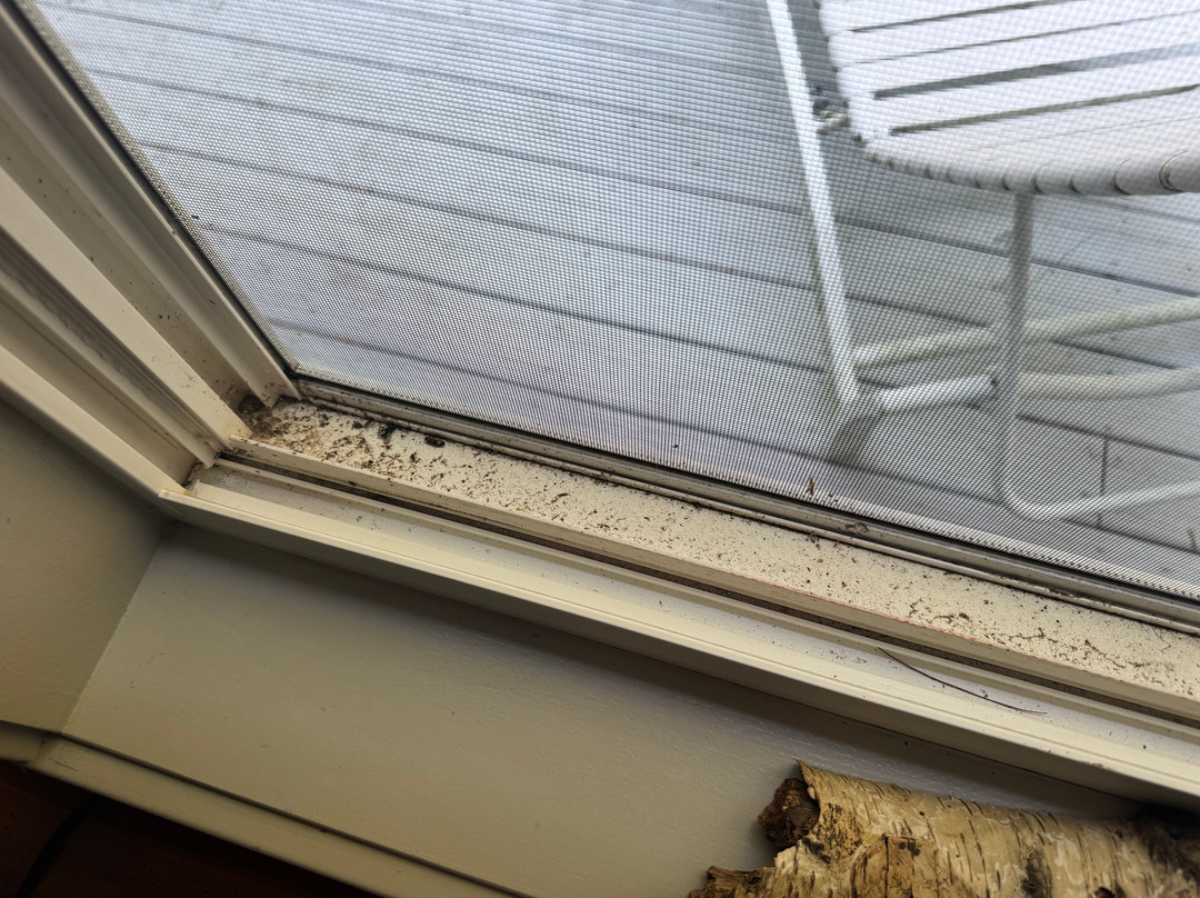 Toby's Retreat at Holloways Beach主图