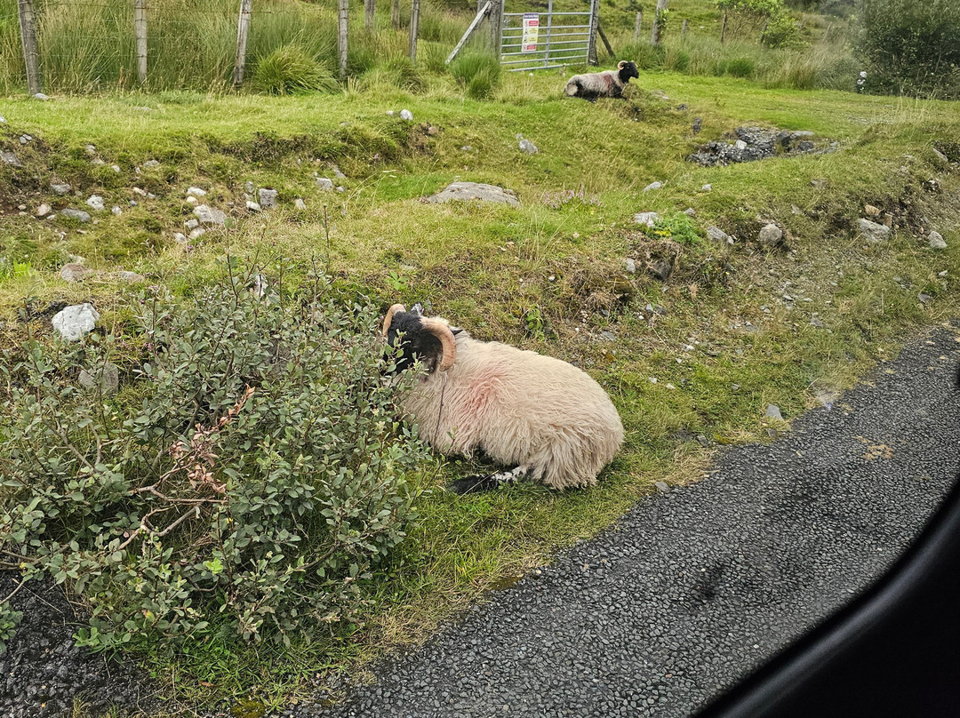 Experiencing Ireland-Mountmellick必去景点