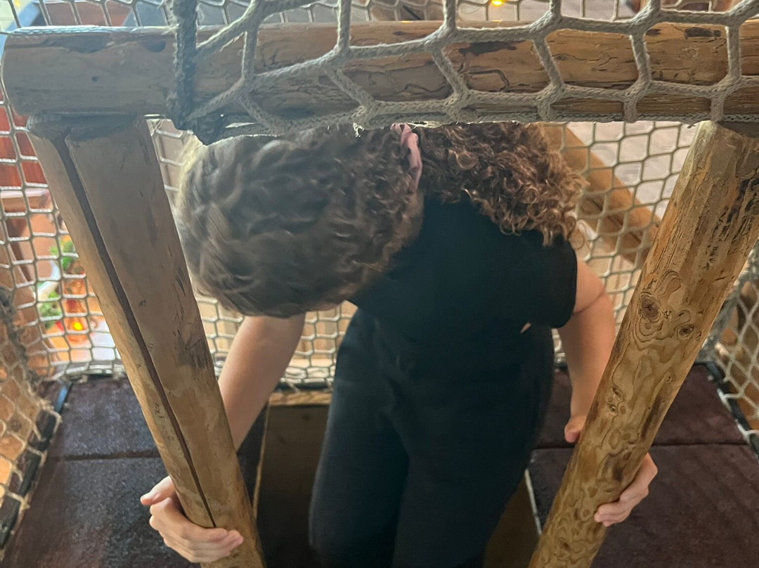 森撒珀勒斯-辛德尔芬根必去景点