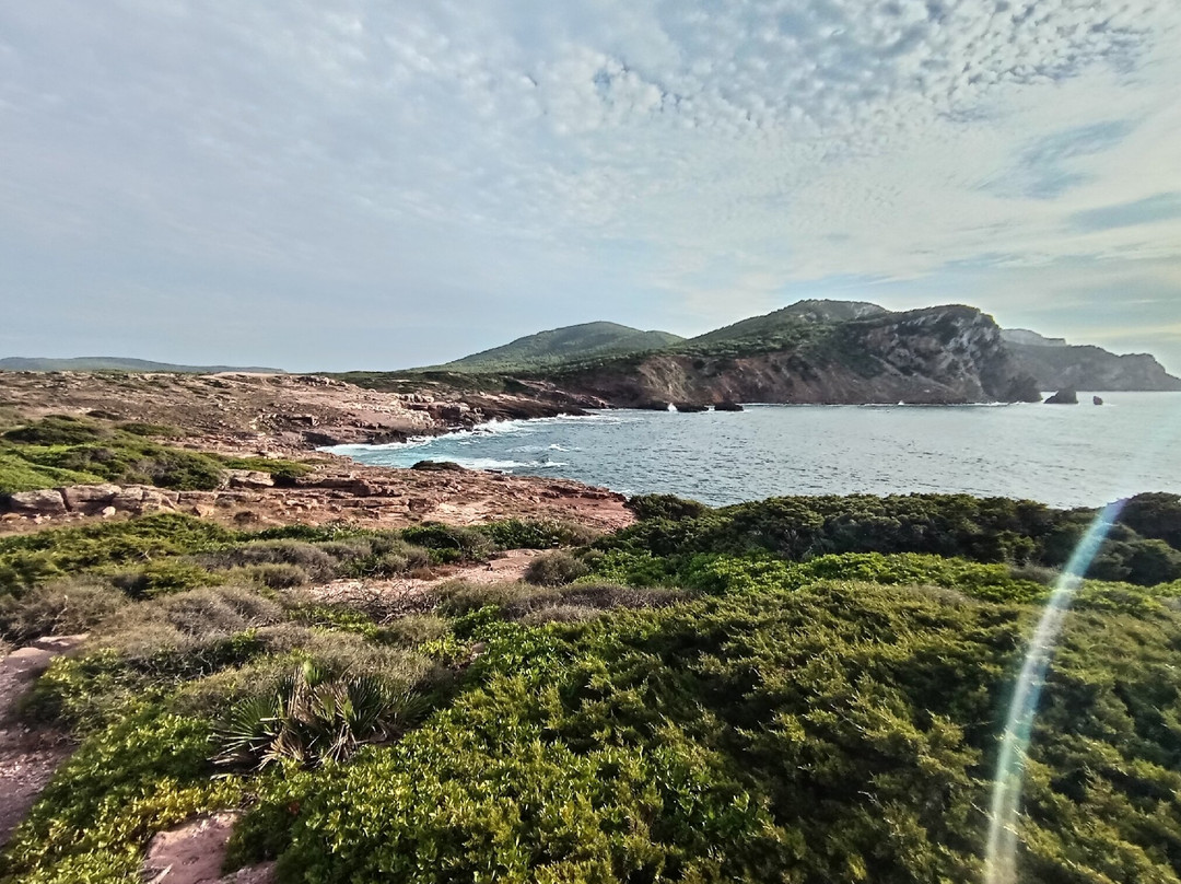 Spiaggia Torre del Porticciolo-阿尔盖罗必去景点