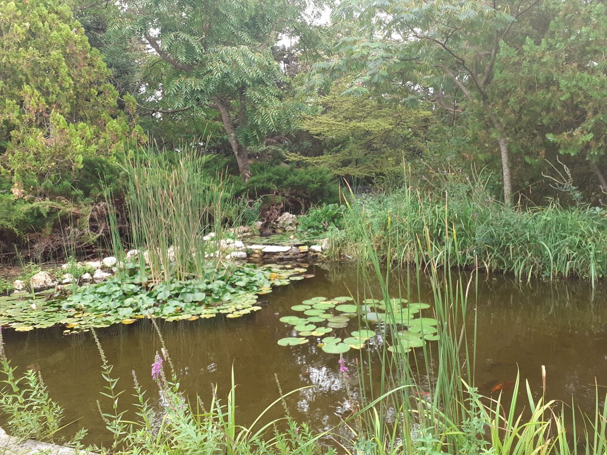 Zazen en Provence-旅行者