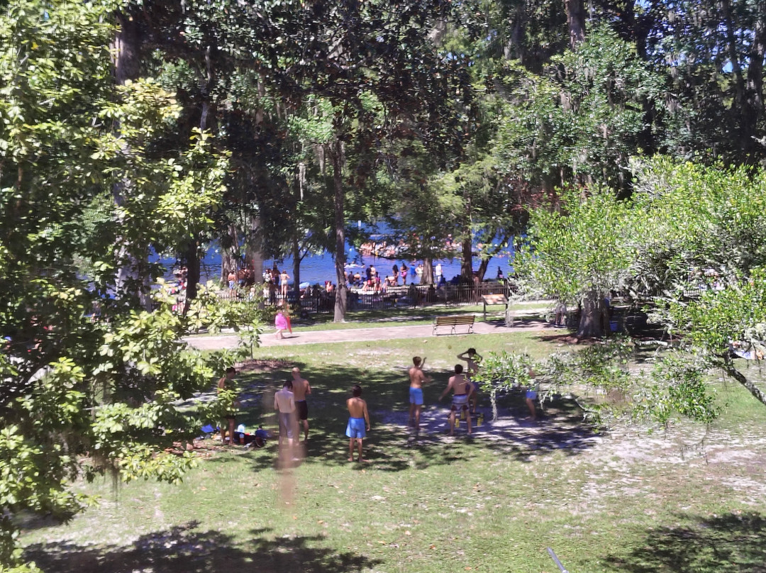 The Lodge at Wakulla Springs主图