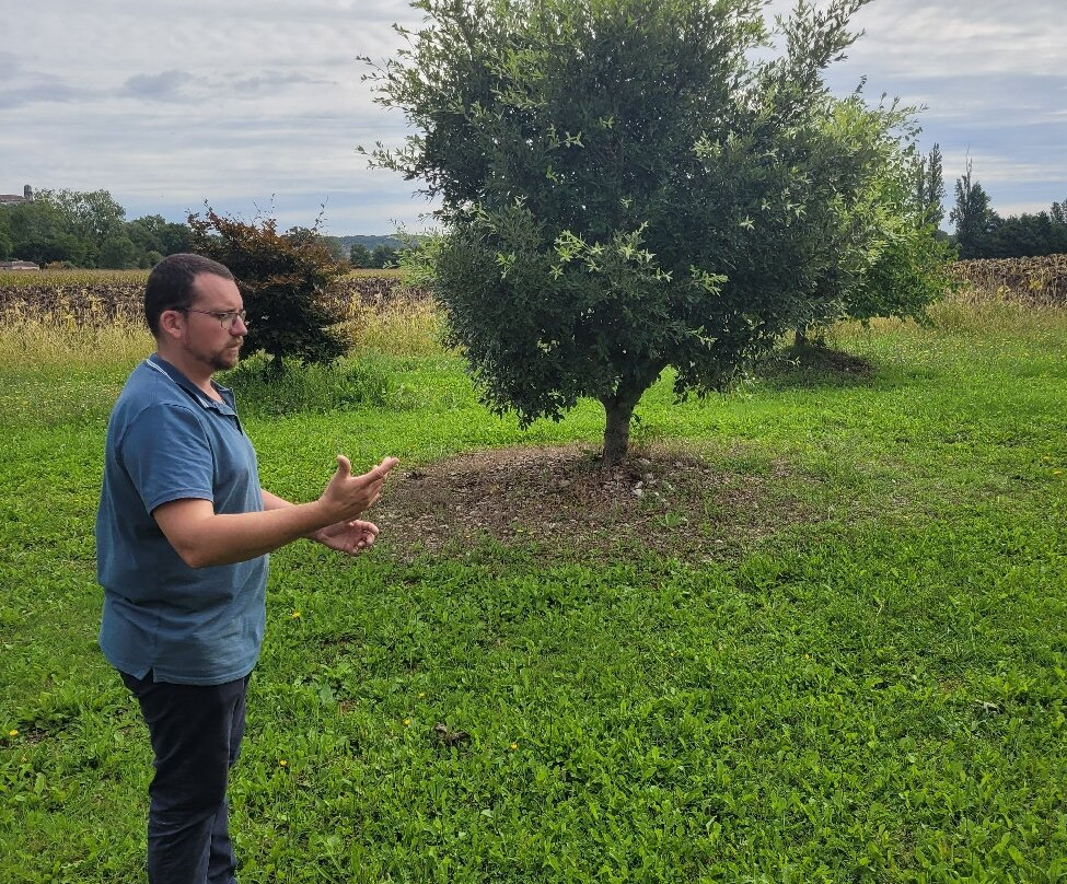 Les Delices de Cantegrel