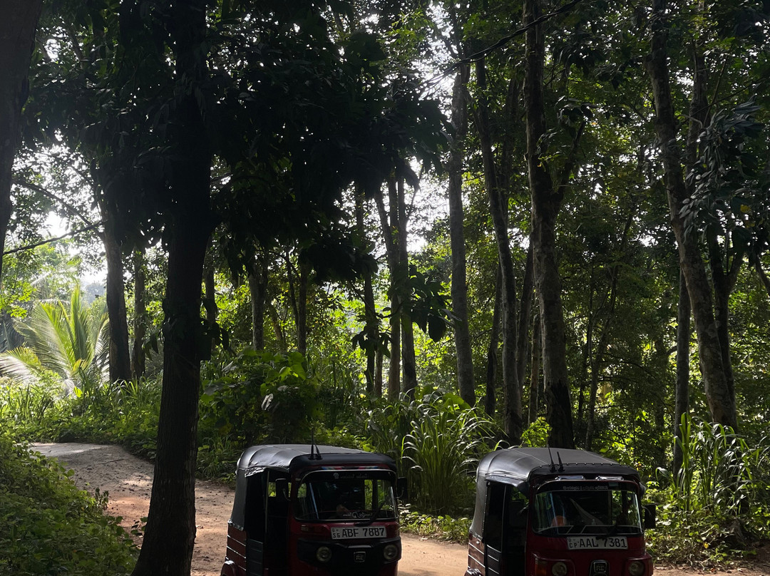 MYM Travels And Tours-班托塔必去景点