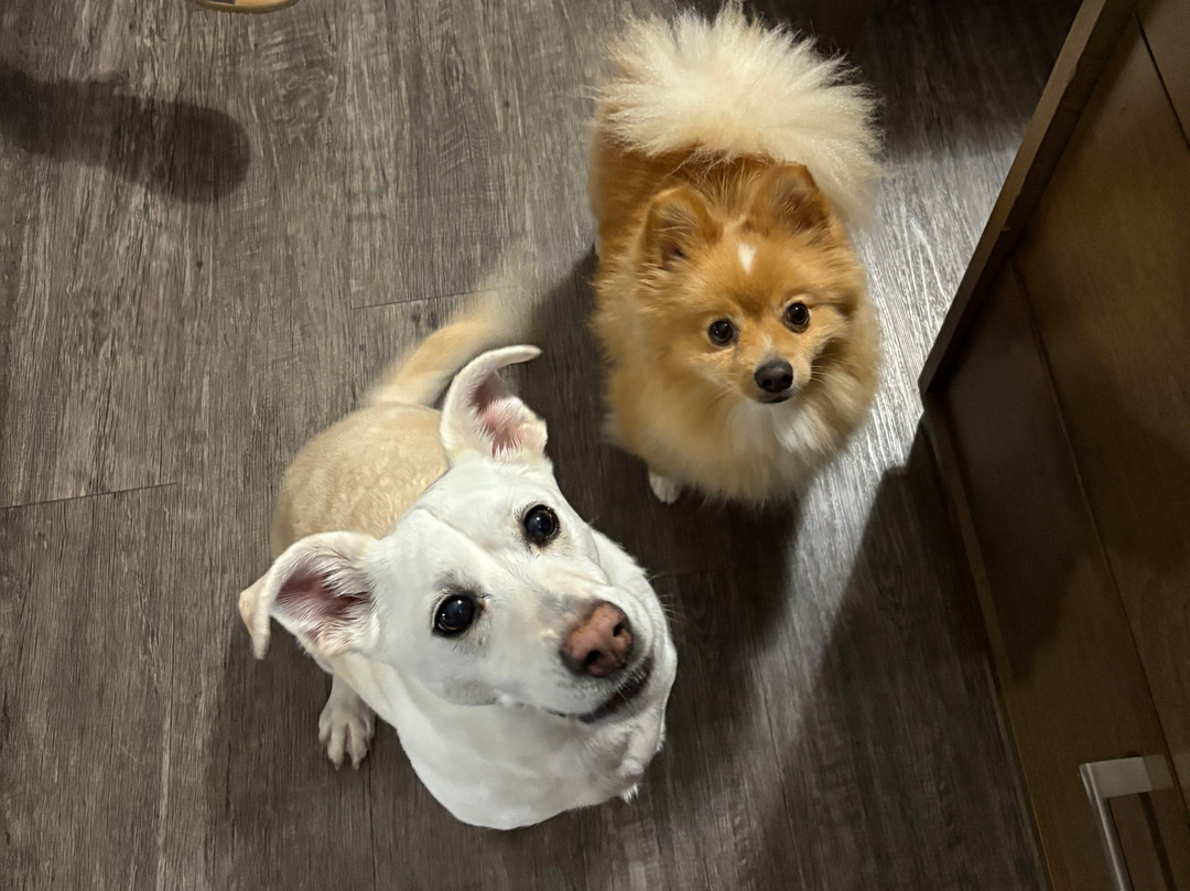 Victoria Inn Hotel & Convention Centre主图