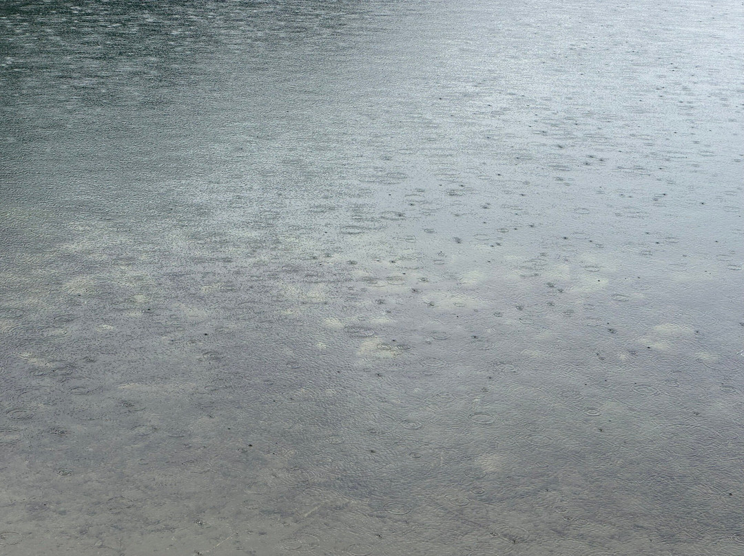 Lac Alpin de Champex-Champex必去景点
