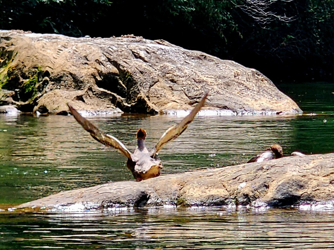 Twin River Outfitters-Covington必去景点