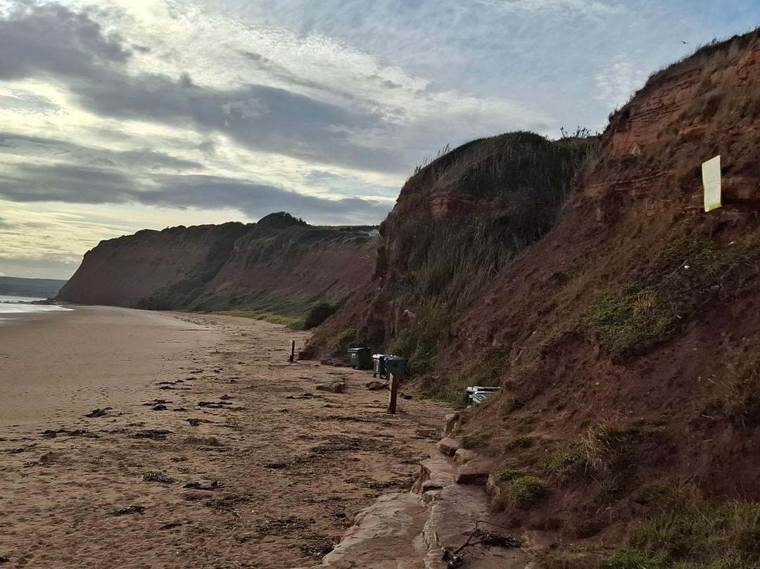 Sandy Bay Beach-埃克斯茅斯必去景点